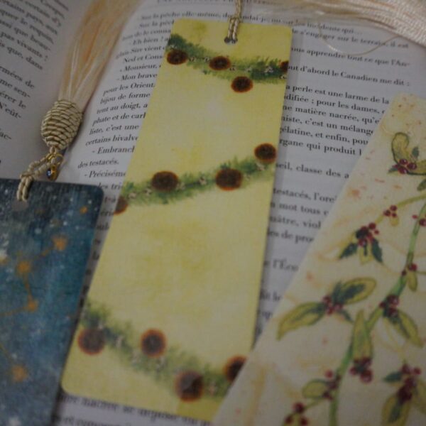 Marque page Marque-page Bookmark Noël Christmas Winter Hiver 2023 Aquarelle Aquarell Aquarela Handmade Paint Painting Sapin Houx Gui Orange Pop corn Constellation Mystique Décoration Booklover Marque pages Livre Lecture Hello mon Amour hellomonamour